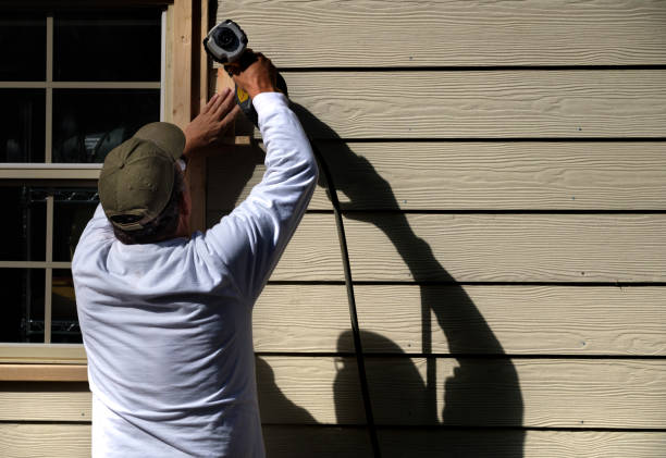 Best Siding Repair  in Vevay, IN